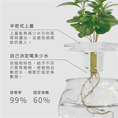 昊的意思 辦公室水耕植物